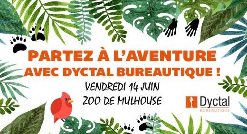 Partez à l'aventure avec Dyctal Bureautique